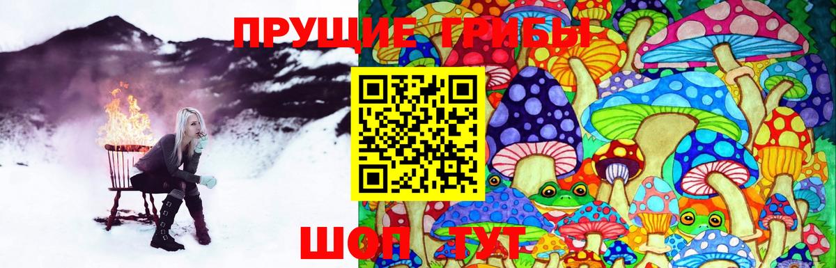 Псилоцибиновые грибы Magic Shrooms Коломна